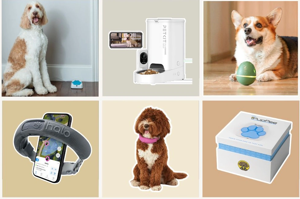 How to Pick Products That Your Pet Will Actually Love