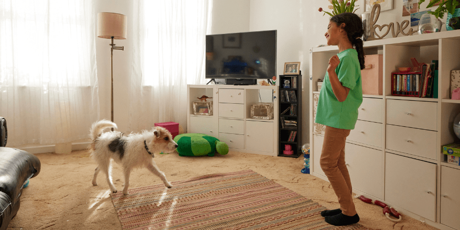 How to Turn Your Home Into a Pet Paradise